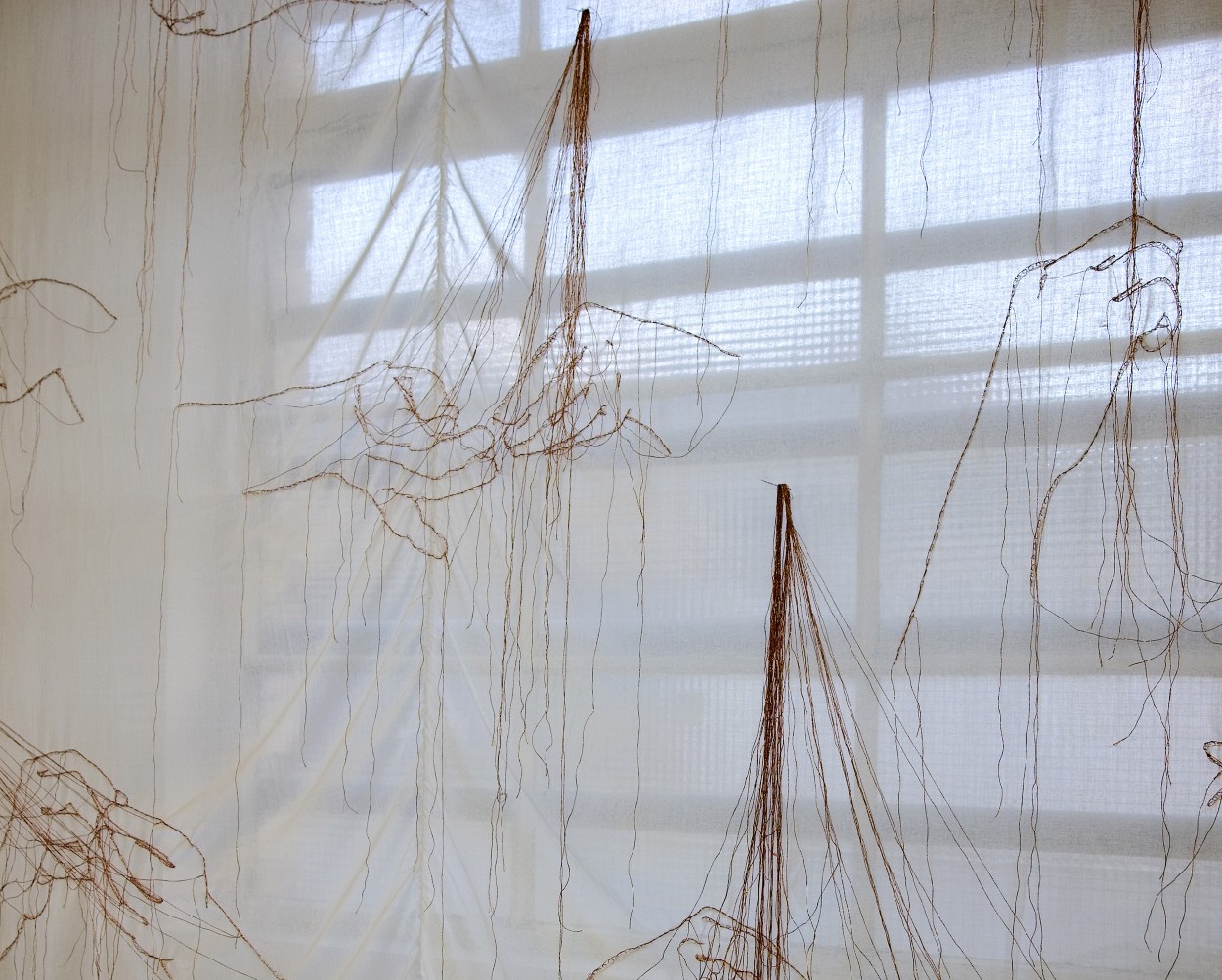 Letters from the Field